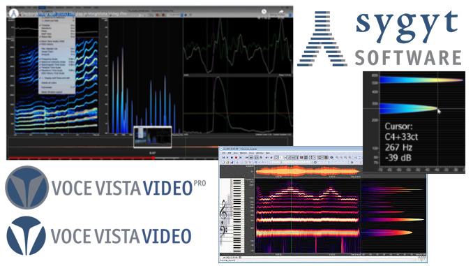 voce_vista_video_img