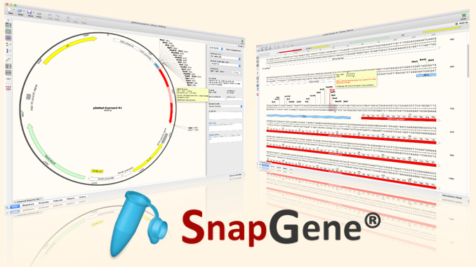 snapgene_img