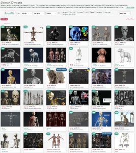 3d models skelton