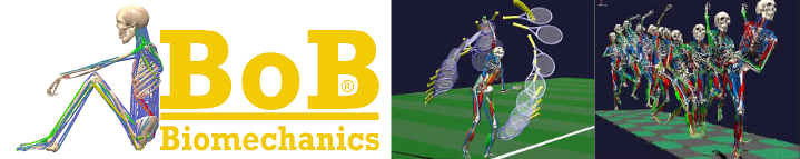対象製品: BoB (Biomechanics of Bodies)(導入支援&サポート特典付き)