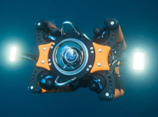 boxfish_rov_img1.jpg